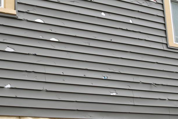 Best Composite Siding  in Scenic Oaks, TX