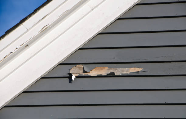 Best Storm Damage Siding Repair  in Scenic Oaks, TX